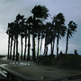 Platja del Bogatell / de la Mar Bella   Barcelona obertura   Pere Freixa / Mar Redondo